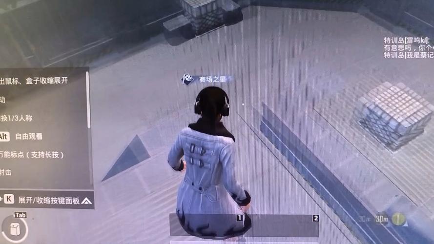 和平精英掩体透视